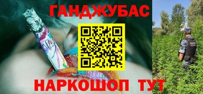 крисы Сланцы